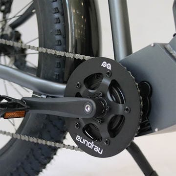 Eunorau FAT-HD Fat Tire Electric Mountain Bike guard
