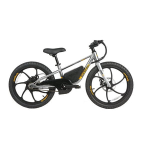 Eunorau E-Kids 20 Electric Fat Tire Bike for Kids in graphite color facing the right