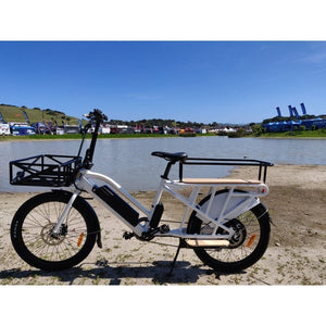 Eunorau Max Cargo Electric Utility Bike in the desert