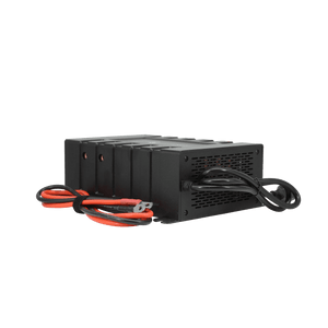 Lion Energy Savanna BC - 45A Battery Charger | My Garage Supplies