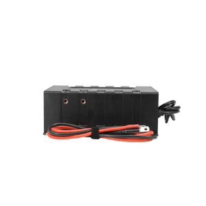 Lion Energy Savanna BC - 45A Battery Charger | My Garage Supplies