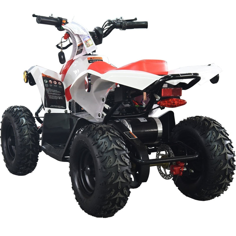 MotoTec E-Bully 36v 1000w ATV | My Garage Supplies