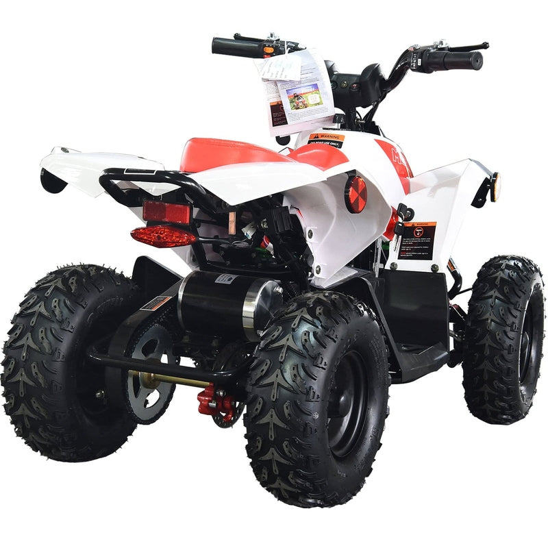 MotoTec E-Bully 36v 1000w ATV | My Garage Supplies