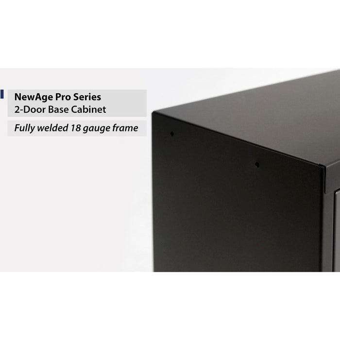 NewAge Pro Series 2-Door Base Cabinet