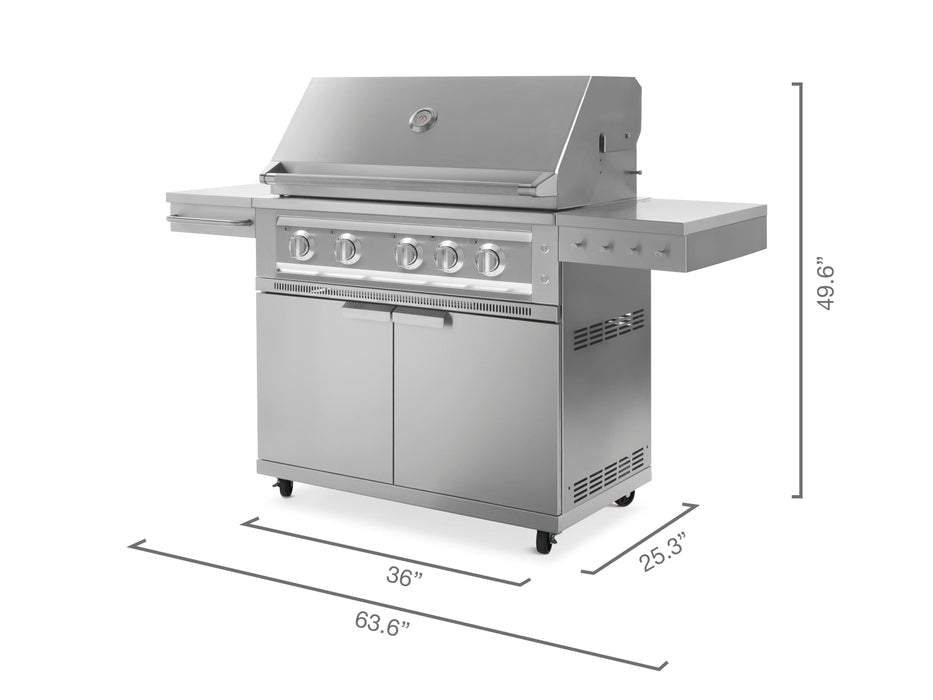 NewAge | Outdoor Kitchen Grill Cart with Platinum Grill